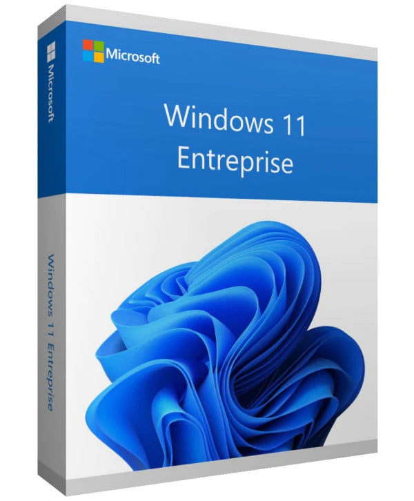 Windows 11 Entreprise